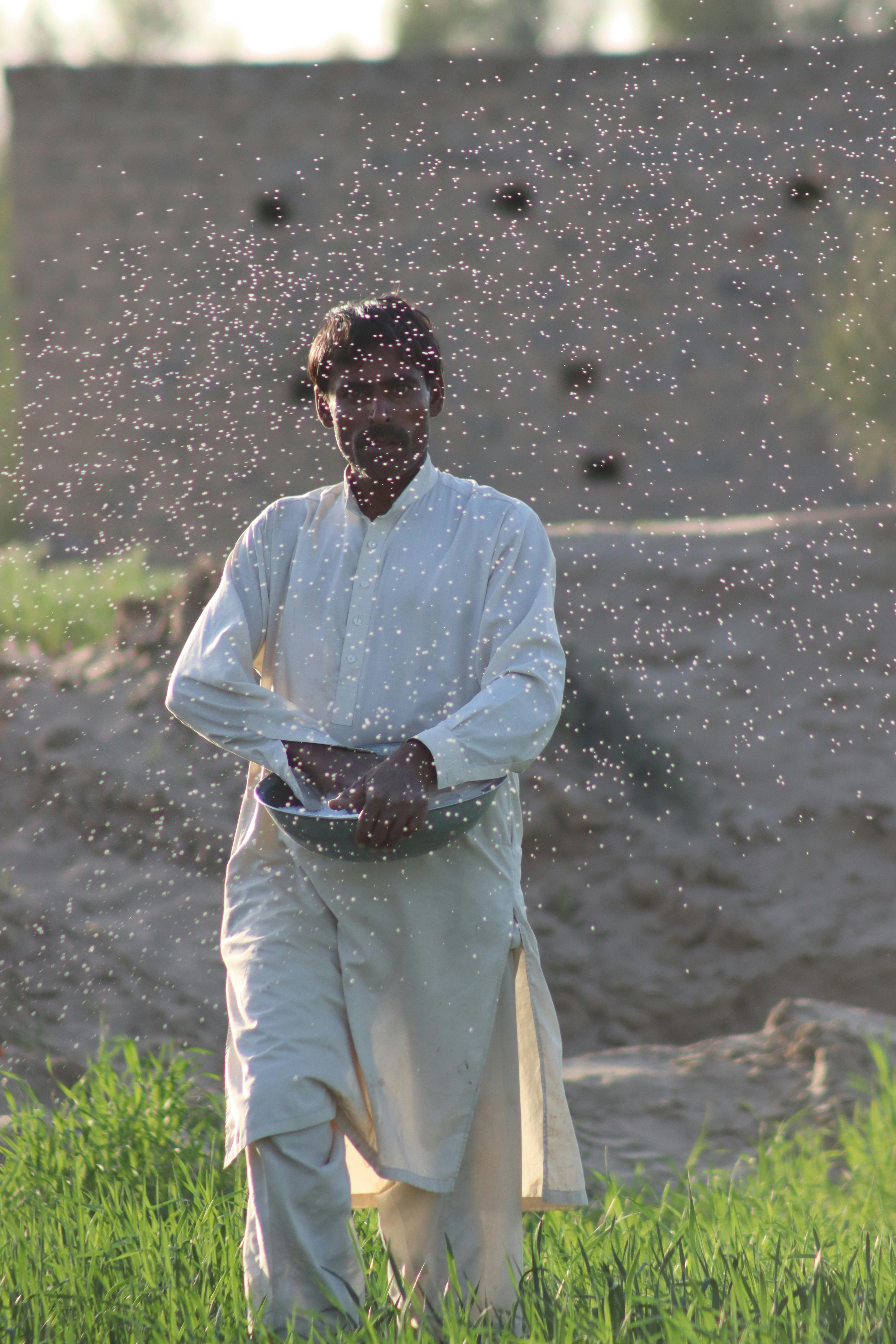Seeds & Fertilizers